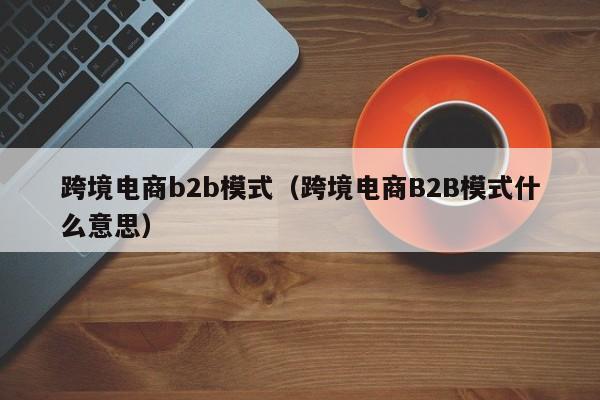 跨境电商b2b模式（跨境电商B2B模式什么意思）