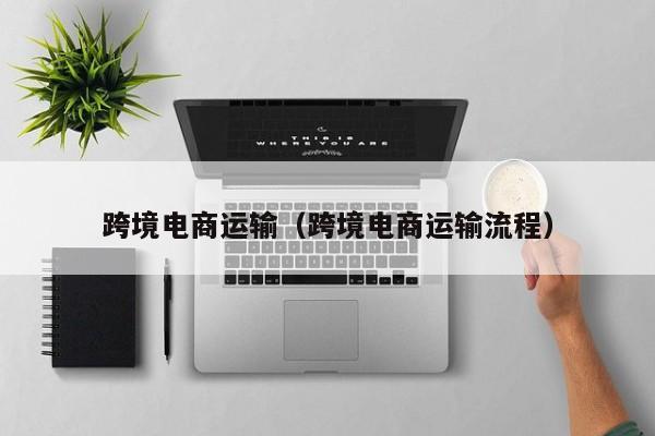 跨境电商运输（跨境电商运输流程）