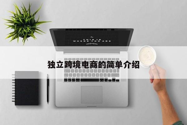 独立跨境电商的简单介绍