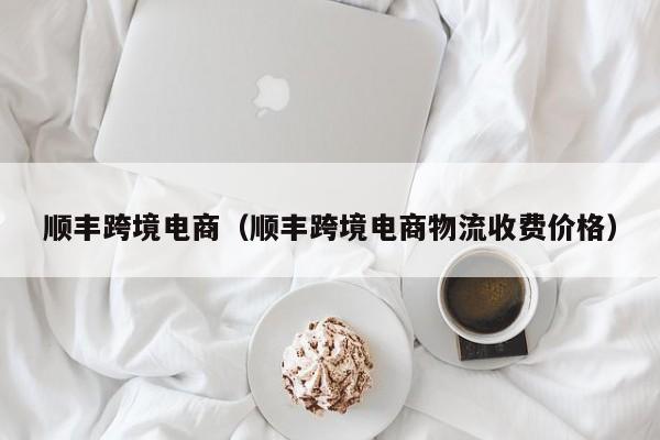 顺丰跨境电商（顺丰跨境电商物流收费价格）