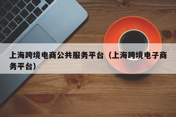 上海跨境电商公共服务平台（上海跨境电子商务平台）