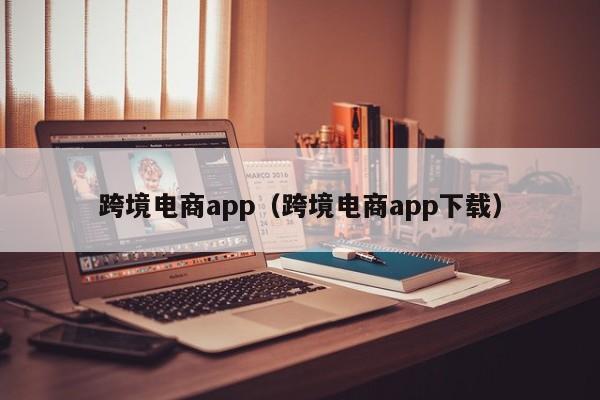跨境电商app（跨境电商app下载）