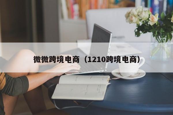 微微跨境电商（1210跨境电商）