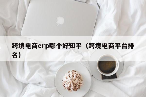 跨境电商erp哪个好知乎（跨境电商平台排名）