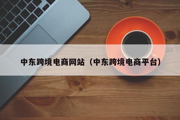 中东跨境电商网站（中东跨境电商平台）