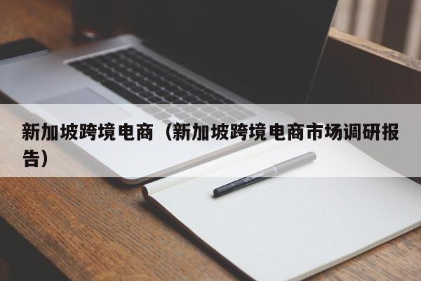 新加坡跨境电商（新加坡跨境电商市场调研报告）
