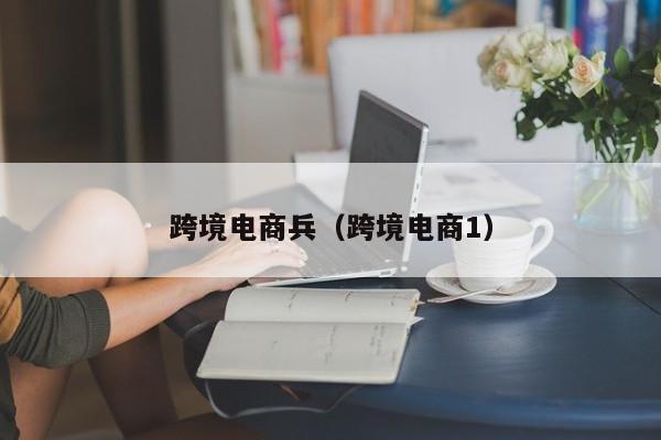 跨境电商兵（跨境电商1）