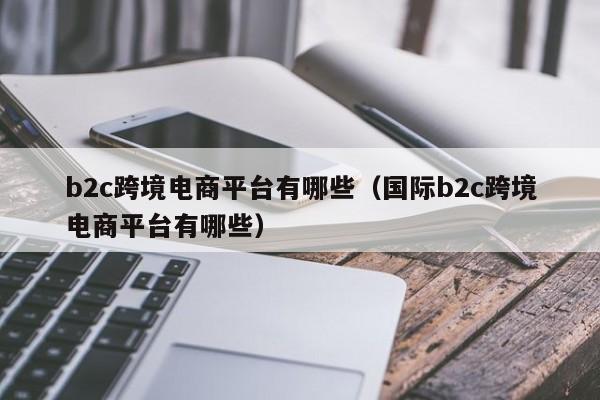 b2c跨境电商平台有哪些（国际b2c跨境电商平台有哪些）