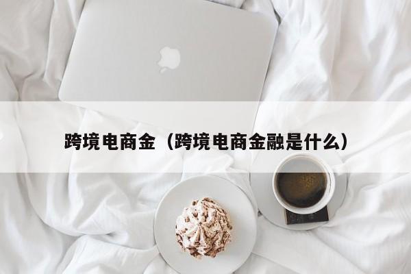 跨境电商金（跨境电商金融是什么）