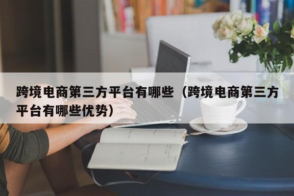 跨境电商第三方平台有哪些（跨境电商第三方平台有哪些优势）