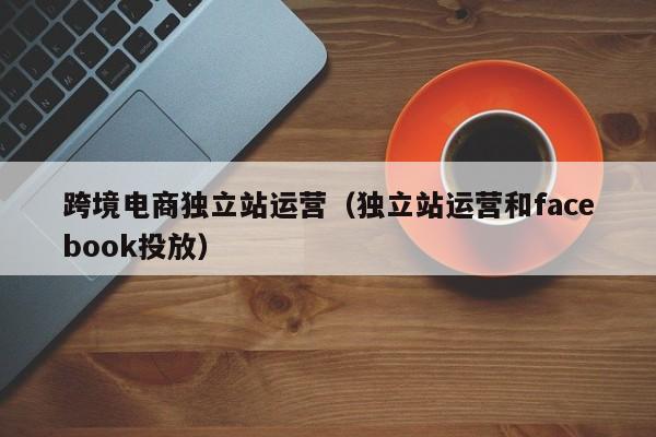 跨境电商独立站运营（独立站运营和facebook投放）
