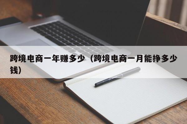 跨境电商一年赚多少（跨境电商一月能挣多少钱）