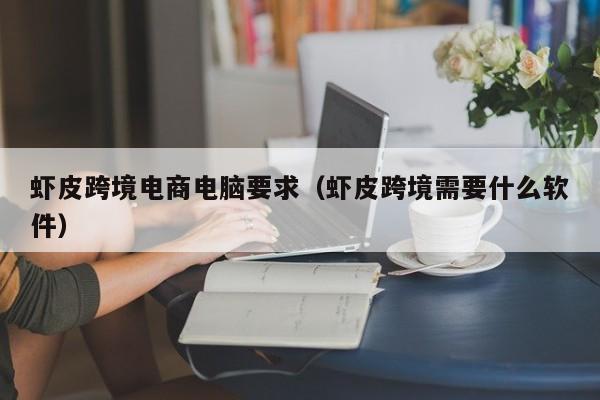 虾皮跨境电商电脑要求（虾皮跨境需要什么软件）