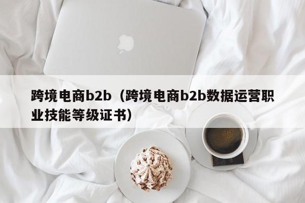 跨境电商b2b（跨境电商b2b数据运营职业技能等级证书）