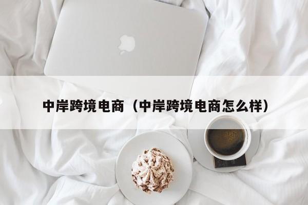 中岸跨境电商（中岸跨境电商怎么样）
