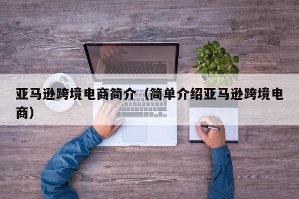 亚马逊跨境电商简介（简单介绍亚马逊跨境电商）