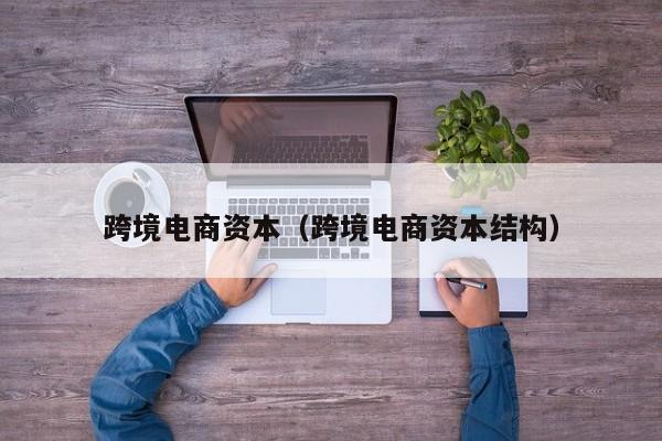 跨境电商资本（跨境电商资本结构）