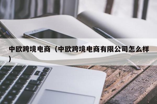中欧跨境电商（中欧跨境电商有限公司怎么样）