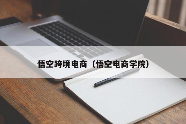 悟空跨境电商（悟空电商学院）
