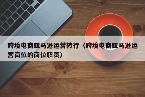 跨境电商亚马逊运营转行（跨境电商亚马逊运营岗位的岗位职责）