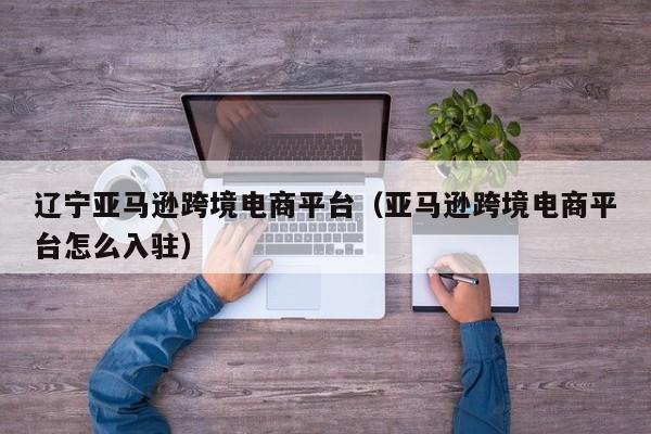 辽宁亚马逊跨境电商平台（亚马逊跨境电商平台怎么入驻）