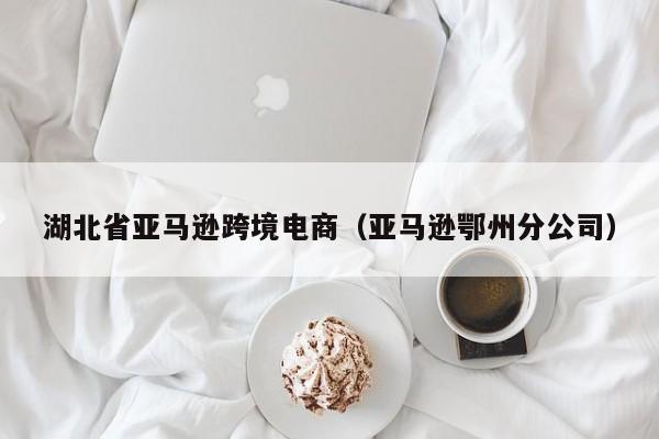 湖北省亚马逊跨境电商（亚马逊鄂州分公司）