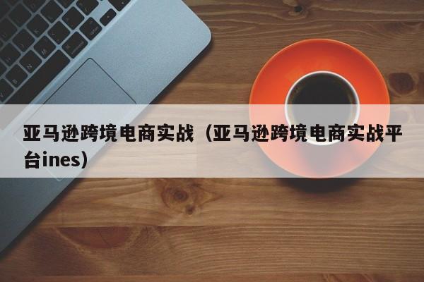 亚马逊跨境电商实战（亚马逊跨境电商实战平台ines）