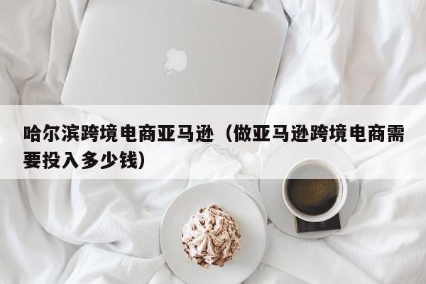 哈尔滨跨境电商亚马逊（做亚马逊跨境电商需要投入多少钱）