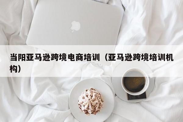 当阳亚马逊跨境电商培训（亚马逊跨境培训机构）