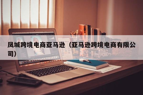 凤城跨境电商亚马逊（亚马逊跨境电商有限公司）