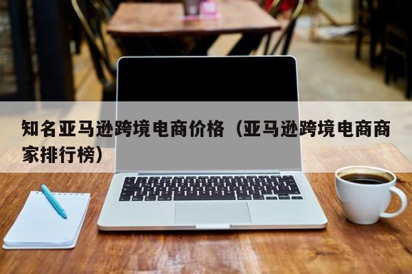 知名亚马逊跨境电商价格（亚马逊跨境电商商家排行榜）