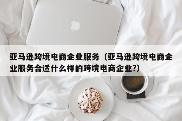 亚马逊跨境电商企业服务（亚马逊跨境电商企业服务合适什么样的跨境电商企业?）