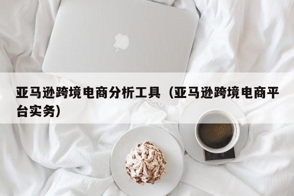 亚马逊跨境电商分析工具（亚马逊跨境电商平台实务）