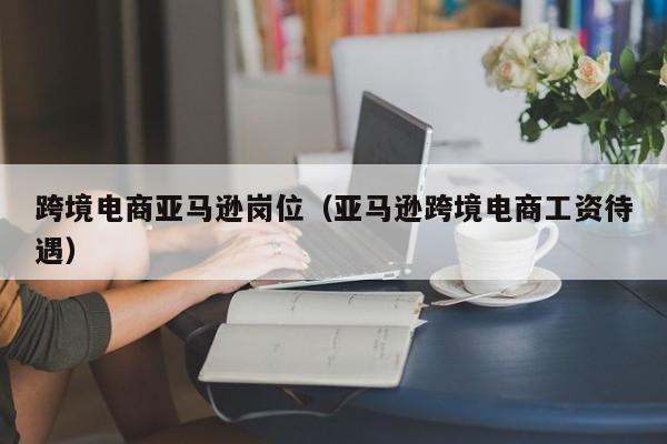 跨境电商亚马逊岗位（亚马逊跨境电商工资待遇）