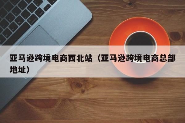 亚马逊跨境电商西北站（亚马逊跨境电商总部地址）