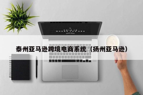 泰州亚马逊跨境电商系统（扬州亚马逊）