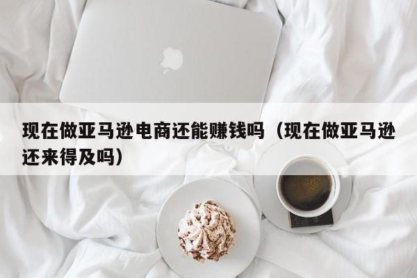 现在做亚马逊电商还能赚钱吗（现在做亚马逊还来得及吗）