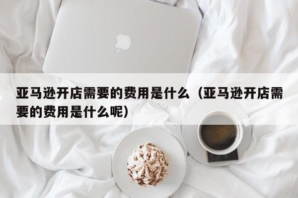 亚马逊开店需要的费用是什么（亚马逊开店需要的费用是什么呢）