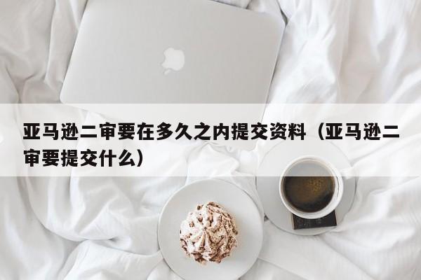 亚马逊二审要在多久之内提交资料（亚马逊二审要提交什么）