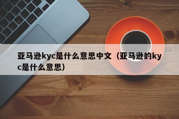 亚马逊kyc是什么意思中文（亚马逊的kyc是什么意思）