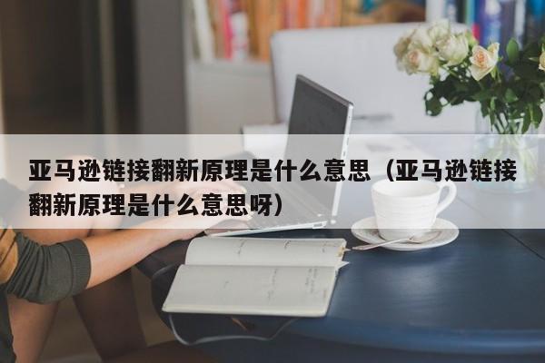 亚马逊链接翻新原理是什么意思（亚马逊链接翻新原理是什么意思呀）