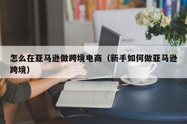 怎么在亚马逊做跨境电商（新手如何做亚马逊跨境）