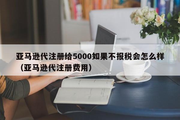 亚马逊代注册给5000如果不报税会怎么样（亚马逊代注册费用）