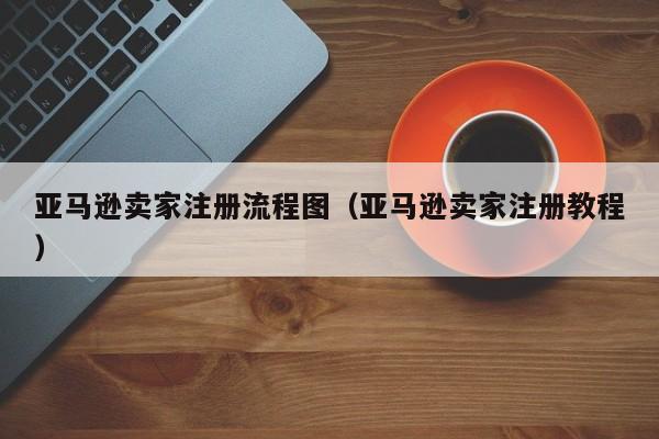 亚马逊卖家注册流程图（亚马逊卖家注册教程）