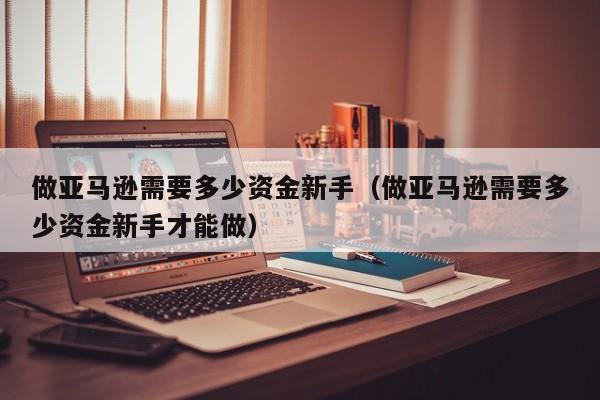 做亚马逊需要多少资金新手（做亚马逊需要多少资金新手才能做）