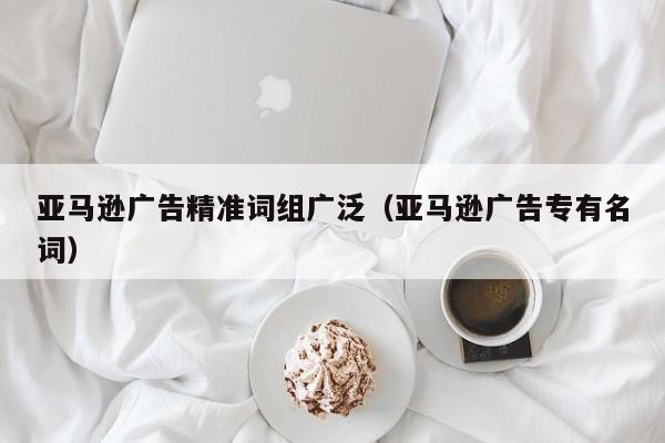 亚马逊广告精准词组广泛（亚马逊广告专有名词）