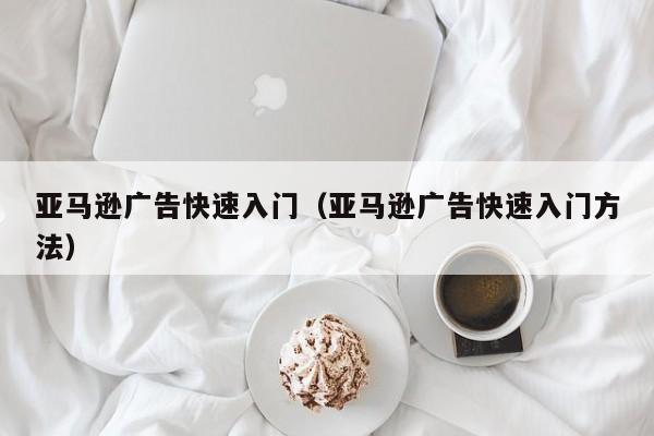 亚马逊广告快速入门（亚马逊广告快速入门方法）