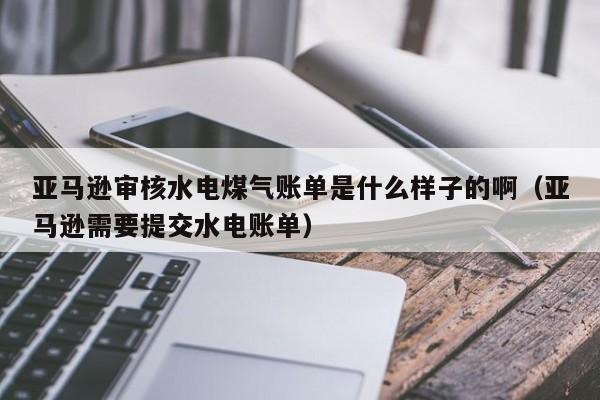 亚马逊审核水电煤气账单是什么样子的啊（亚马逊需要提交水电账单）