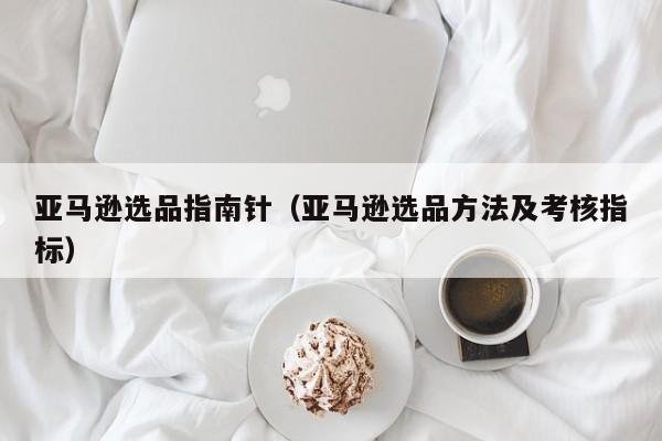 亚马逊选品指南针（亚马逊选品方法及考核指标）